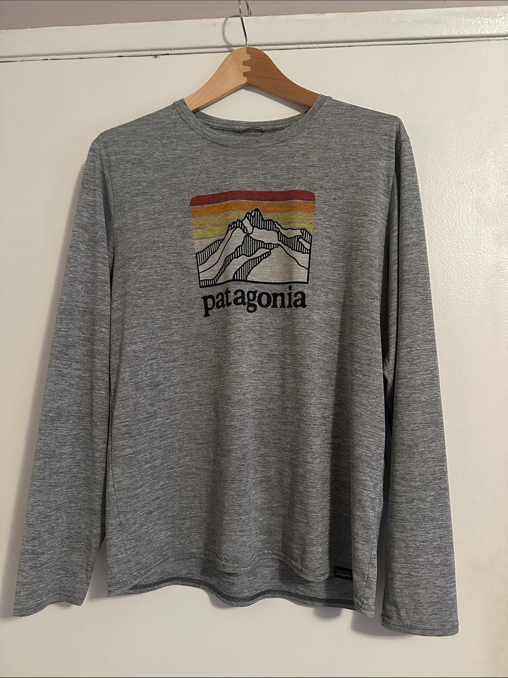 Patagonia Grey Long-Sleeve Tee with Sunset Mountain Graphic